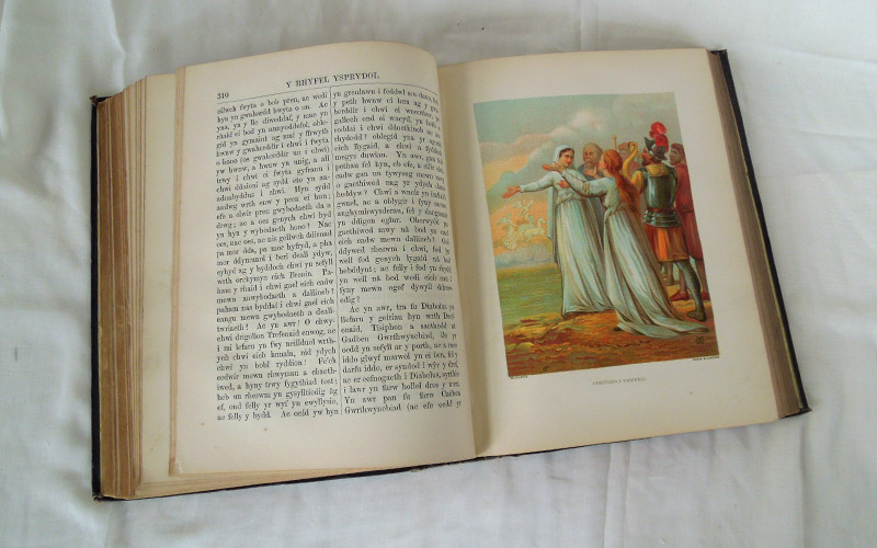 Photograph of the Taith Y Pererin book open at the page 310