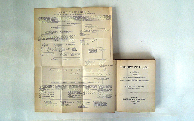 Photograph of the book’s unfolded pages