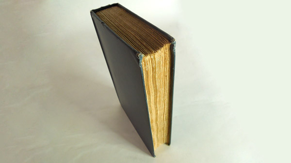 Photograph of the book's block of text
