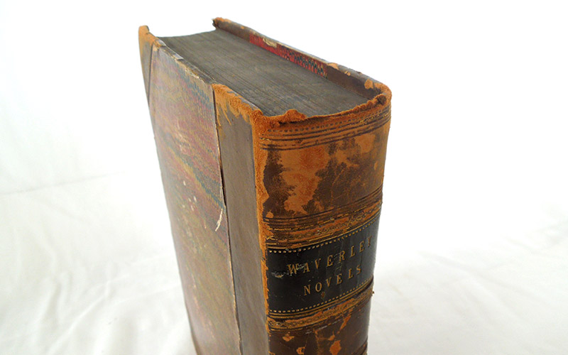 Photograph of the Waverley Novels - Vol. I book's head of spine