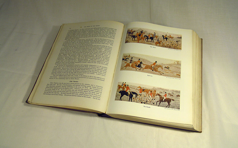 Photograph of the Book Of The Horse book at the page 304
