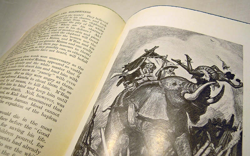 Photograph of one of the In Desert and Wilderness book's illustration