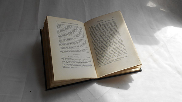 Photograph of the book’s inside pages