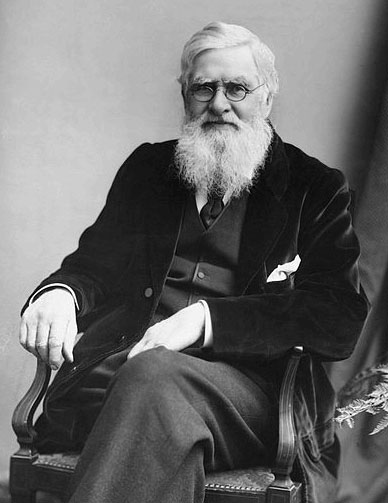 Black and whit photograph of Alfred Russel Wallace