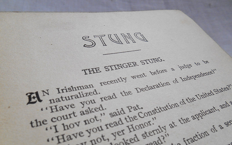Photography of the Stung book