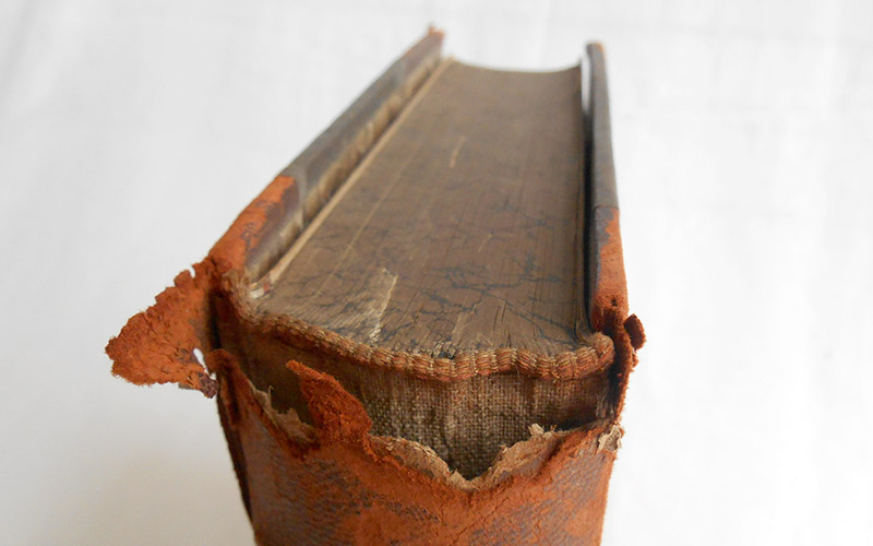 Photograph of the Nieuw volledig Engelsch-Nederlandsch Woordenboek (English-Dutch Dictionary)