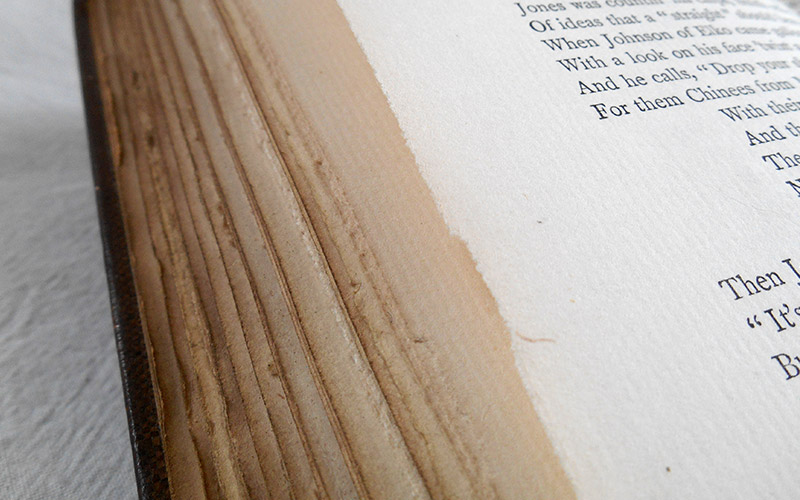 Photograph of the book's pages
