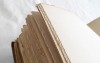 Photograph of the book's edges of the pages