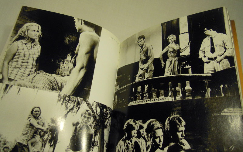 Photograph of the フェイ·ダナウェイ book opened at the page 47